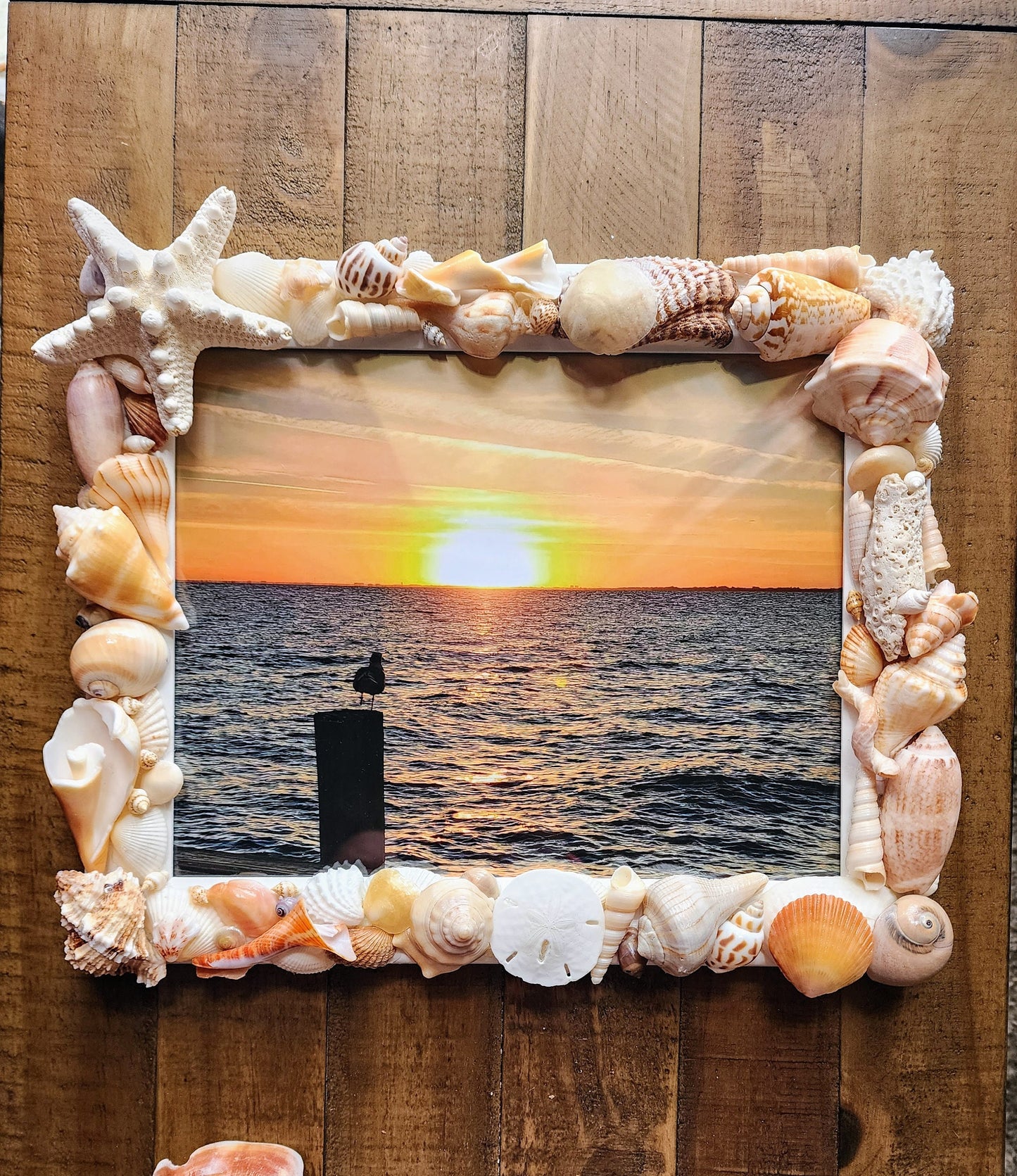 Seashell photo frame, 8"x10" coastal picture frame, beach house decor, beach wedding gift, housewarming gift, seashell art, tropical frame