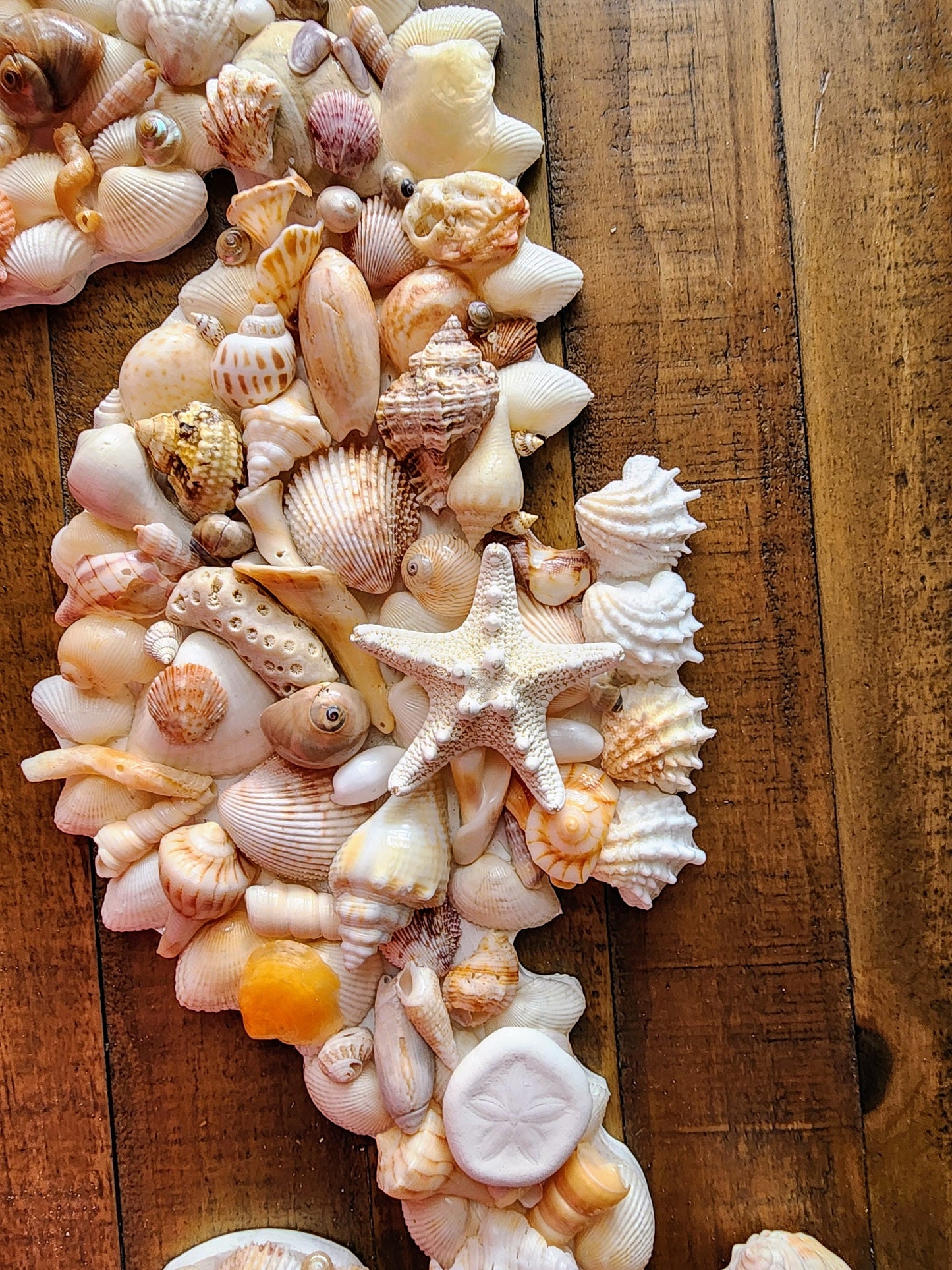 Seashell seahorse wall art, 18" x 9" coastal wall hanging, seahorse beach decor, natural seashell art, beach house decor, housewarming gift.