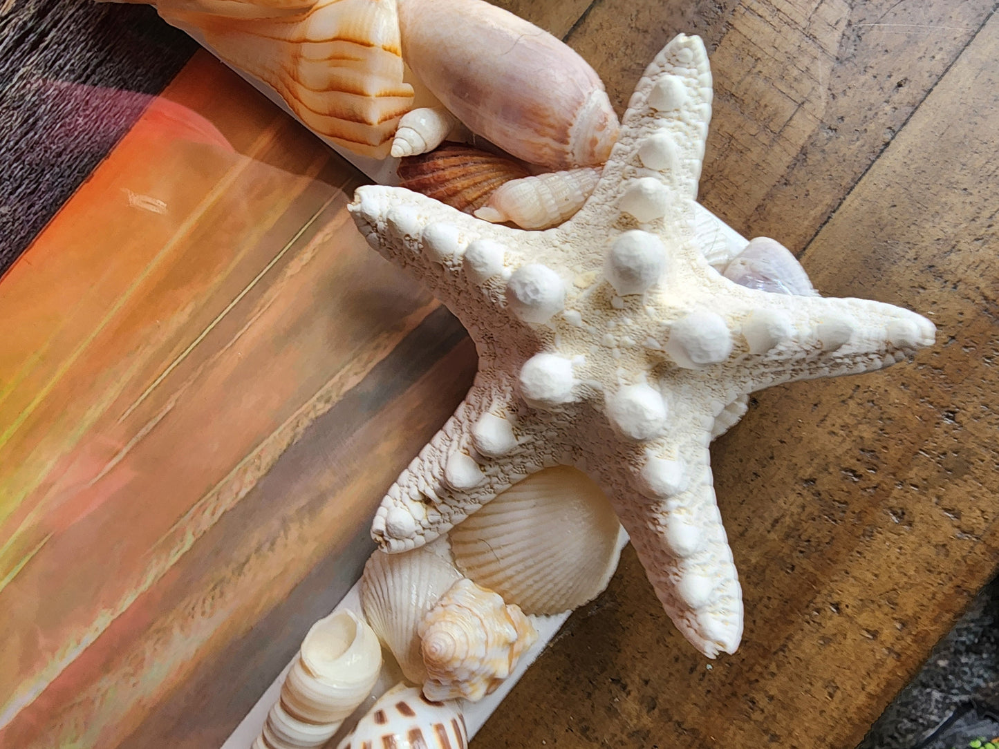 Seashell photo frame, 8"x10" coastal picture frame, beach house decor, beach wedding gift, housewarming gift, seashell art, tropical frame