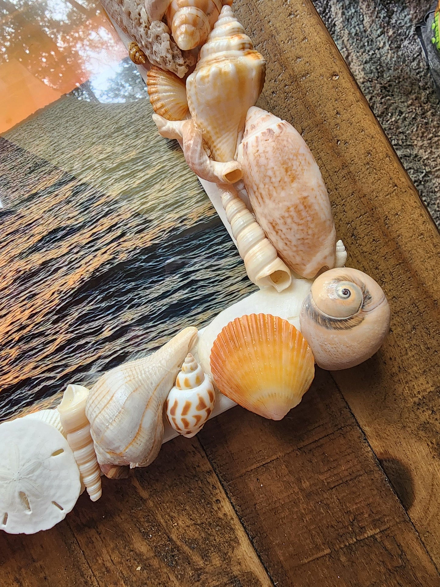 Seashell photo frame, 8"x10" coastal picture frame, beach house decor, beach wedding gift, housewarming gift, seashell art, tropical frame