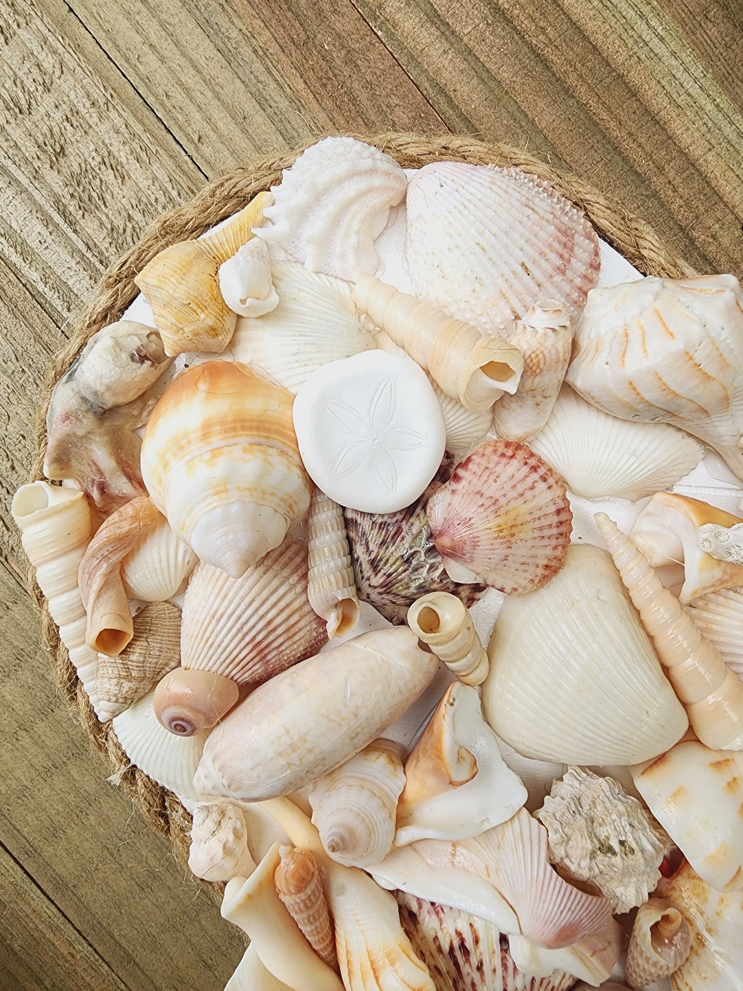 Seashell heart, coastal heart, coastal wall hanging, seashell wall hanging, seashell art. beach wedding gift, coastal decor, tropical decor