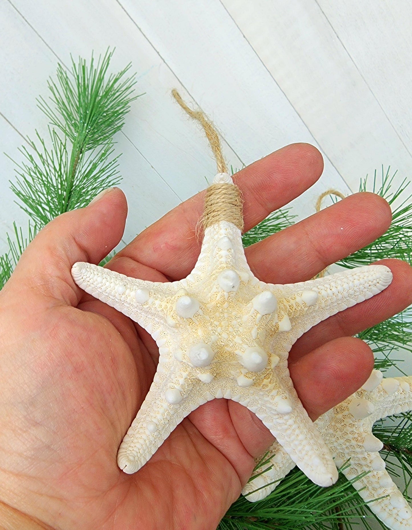Starfish beach ornament for the holidays or beach wedding. Approx 4-5 in pencil or 3-4 in knobby starfish hanging from natural jute twine.