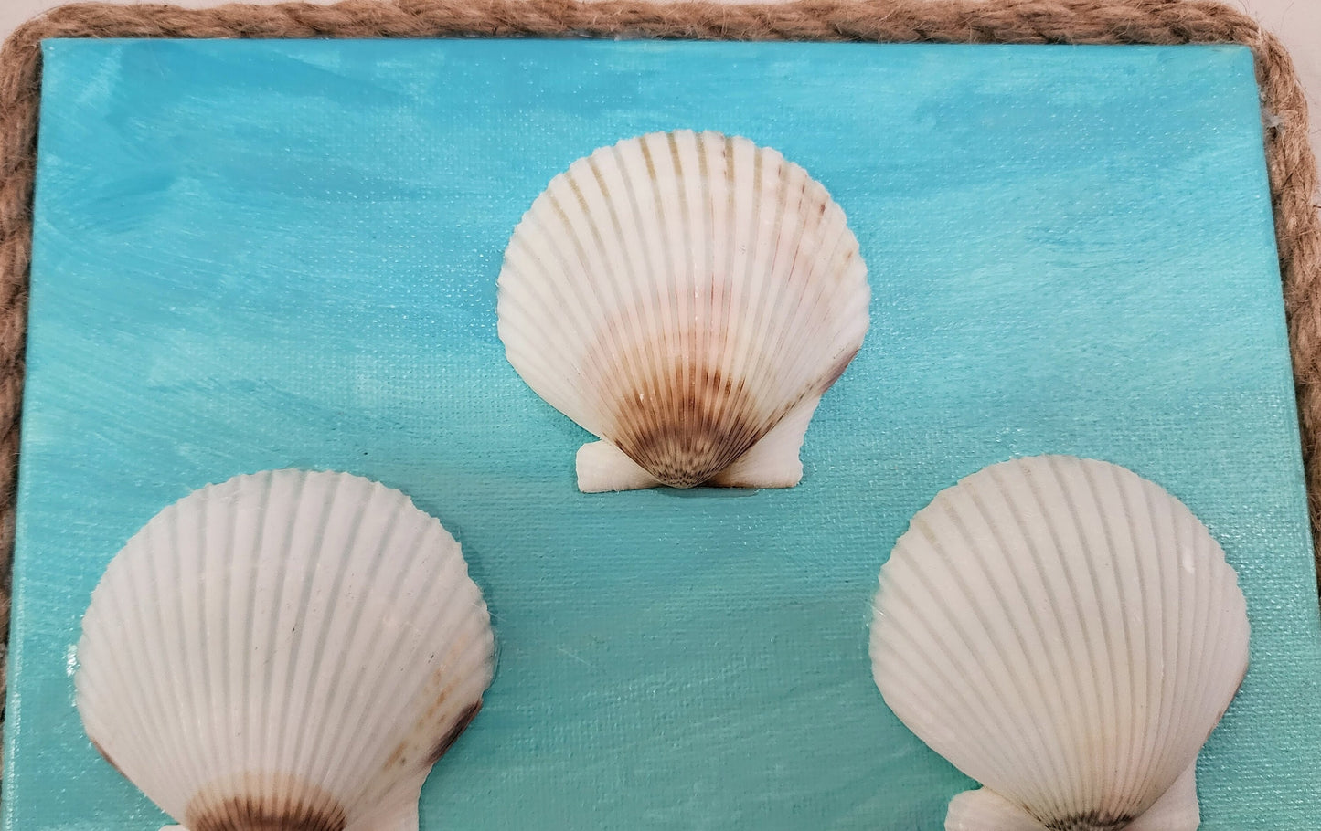 Hand painted 8x8 beach canvas made with genuine local sand and shells with beautiful starfish, sand dollars and scallops, jute rope border.