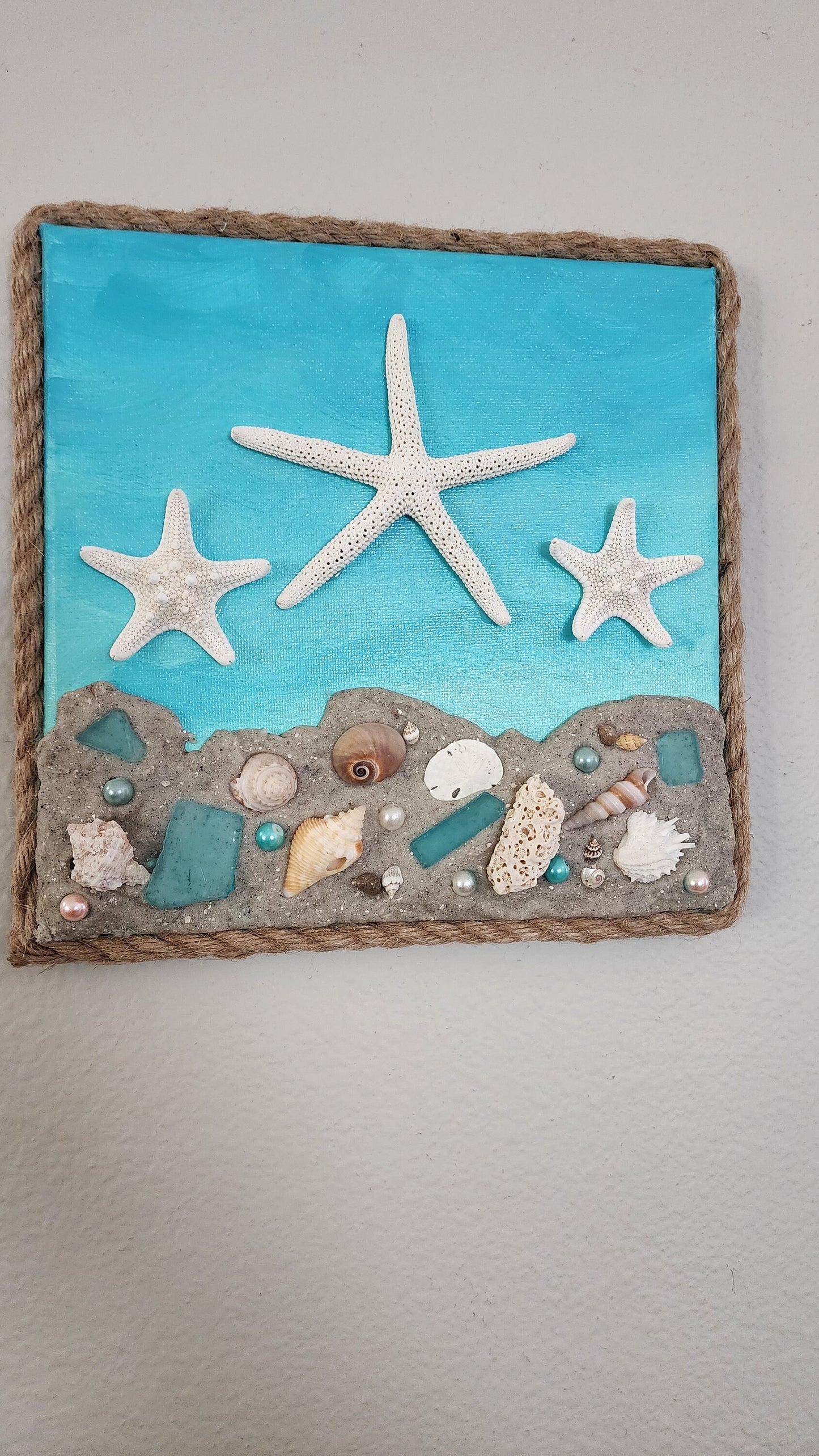 Hand painted 8x8 beach canvas made with genuine local sand and shells with beautiful starfish, sand dollars and scallops, jute rope border.