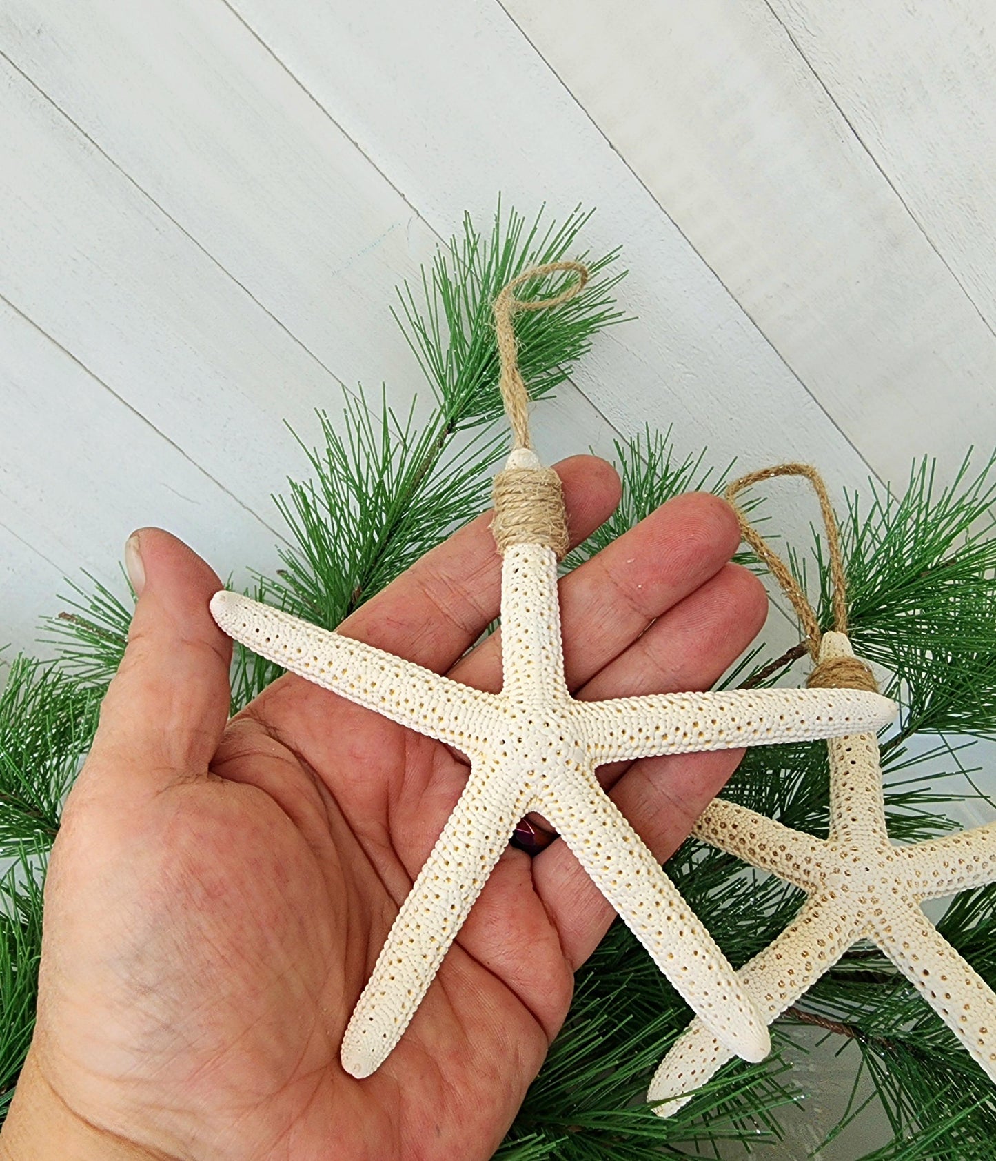 Starfish beach ornament for the holidays or beach wedding. Approx 4-5 in pencil or 3-4 in knobby starfish hanging from natural jute twine.