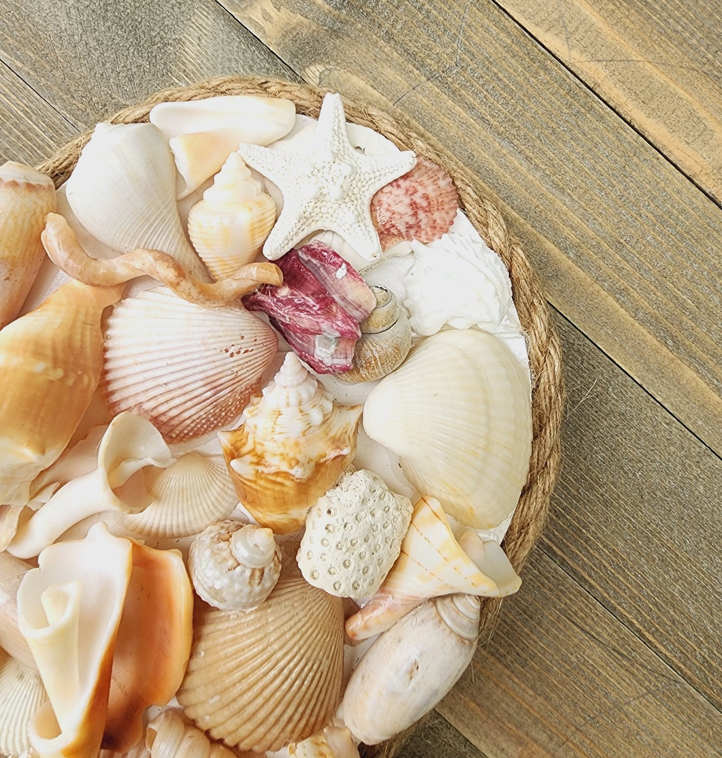 Seashell heart, coastal heart, coastal wall hanging, seashell wall hanging, seashell art. beach wedding gift, coastal decor, tropical decor