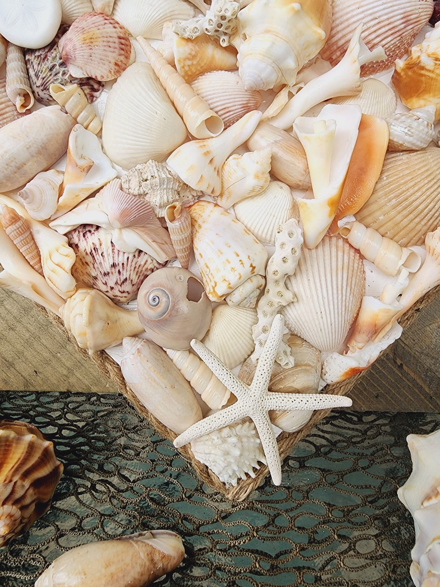 Seashell heart, coastal heart, coastal wall hanging, seashell wall hanging, seashell art. beach wedding gift, coastal decor, tropical decor