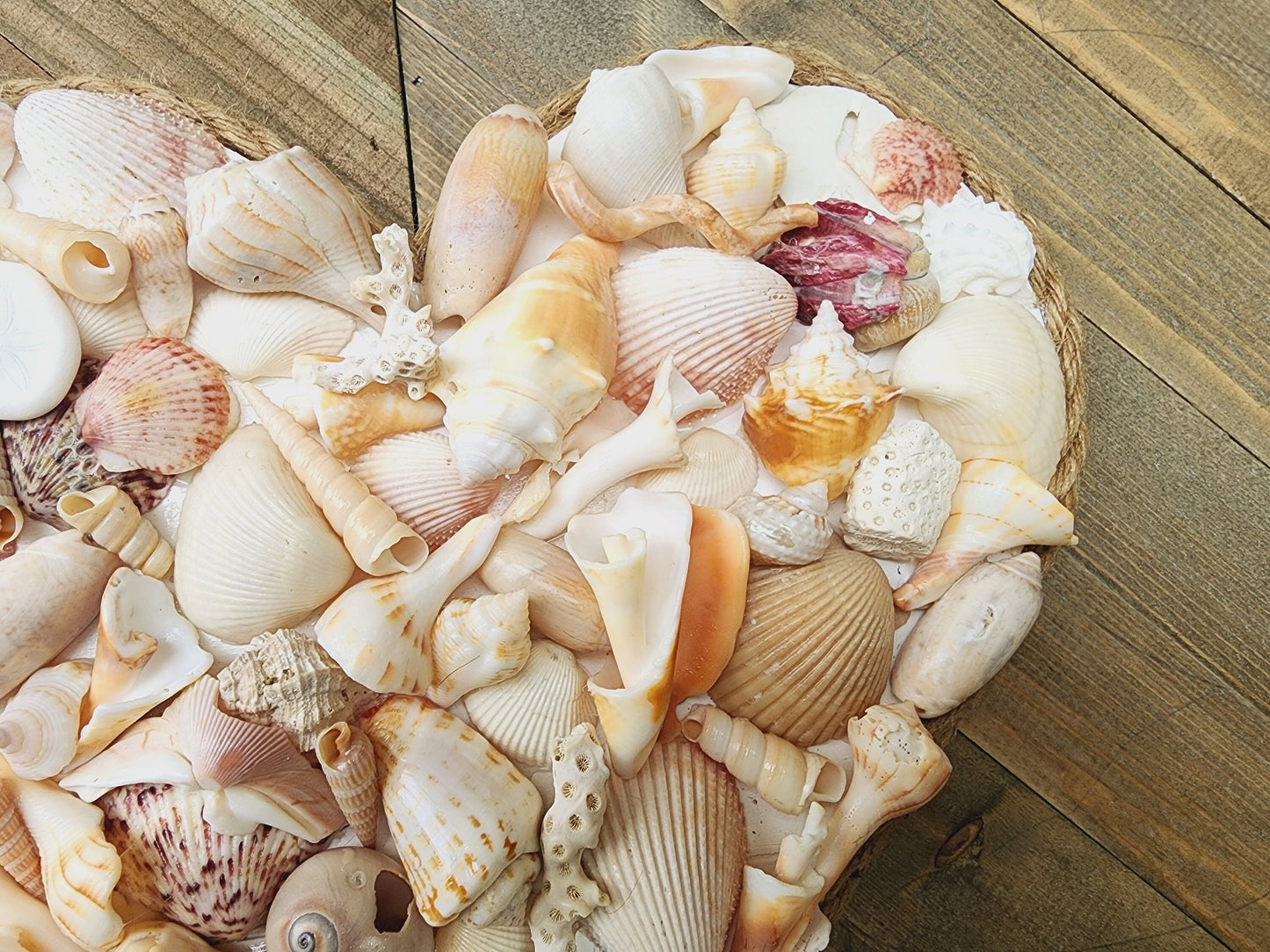 Seashell heart, coastal heart, coastal wall hanging, seashell wall hanging, seashell art. beach wedding gift, coastal decor, tropical decor