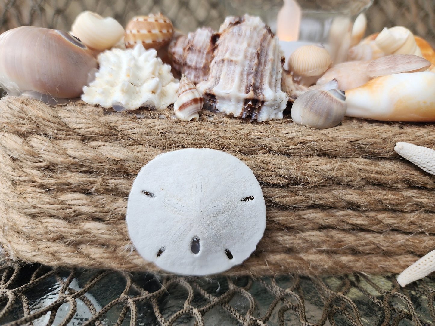 Coastal seashell candle holder centerpiece. Perfect as a beach wedding centerpiece, beach wedding gift, or to complement your coastal decor