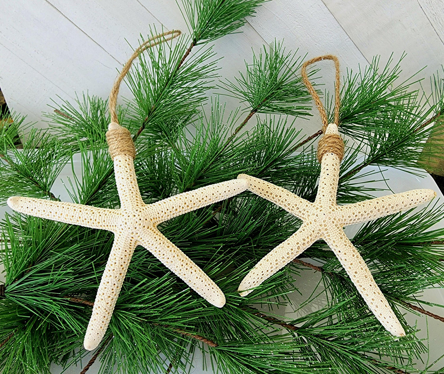 Starfish beach ornament for the holidays or beach wedding. Approx 4-5 in pencil or 3-4 in knobby starfish hanging from natural jute twine.