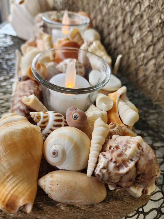 Coastal seashell candle holder centerpiece. Perfect as a beach wedding centerpiece, beach wedding gift, or to complement your coastal decor