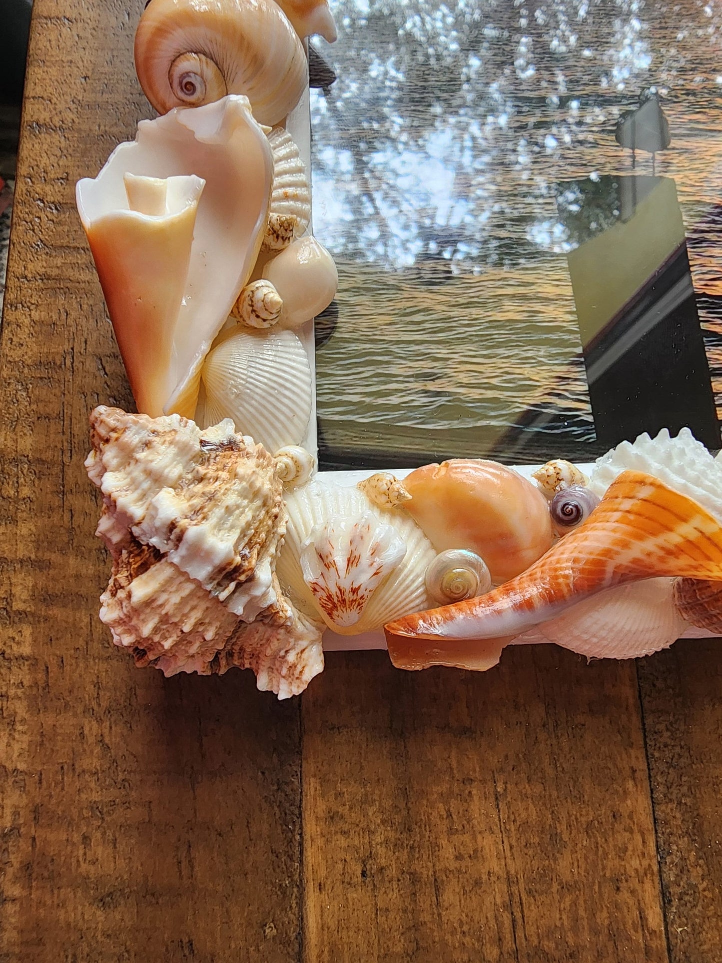 Seashell photo frame, 8"x10" coastal picture frame, beach house decor, beach wedding gift, housewarming gift, seashell art, tropical frame