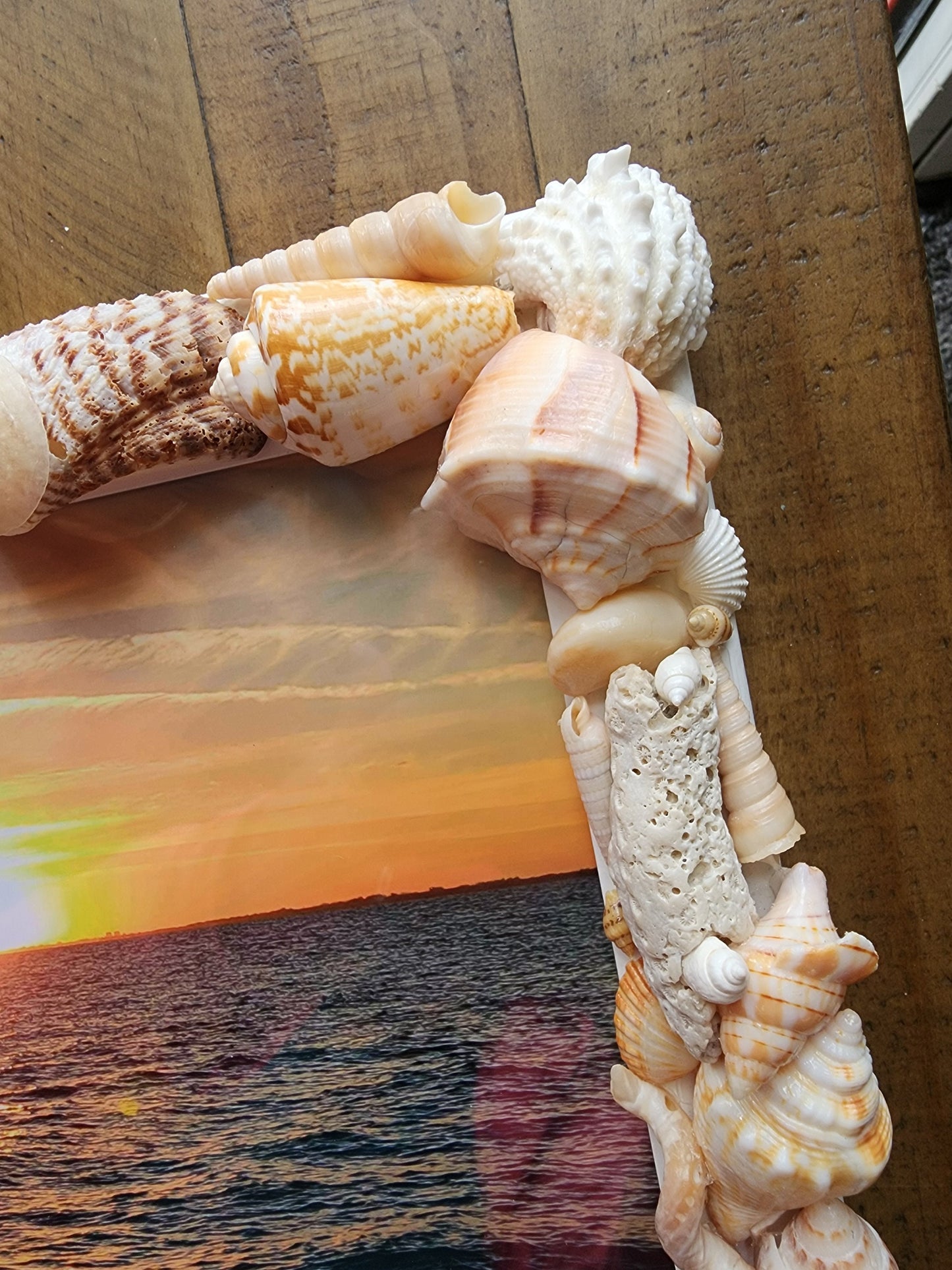 Seashell photo frame, 8"x10" coastal picture frame, beach house decor, beach wedding gift, housewarming gift, seashell art, tropical frame