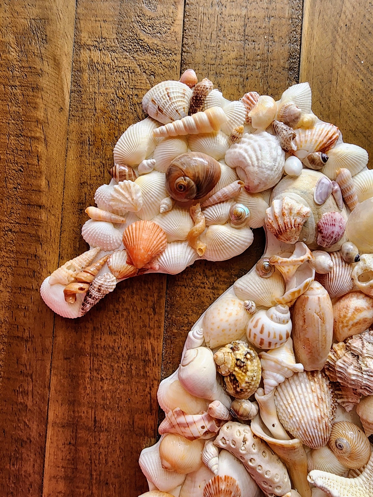 Seashell seahorse wall art, 18" x 9" coastal wall hanging, seahorse beach decor, natural seashell art, beach house decor, housewarming gift.