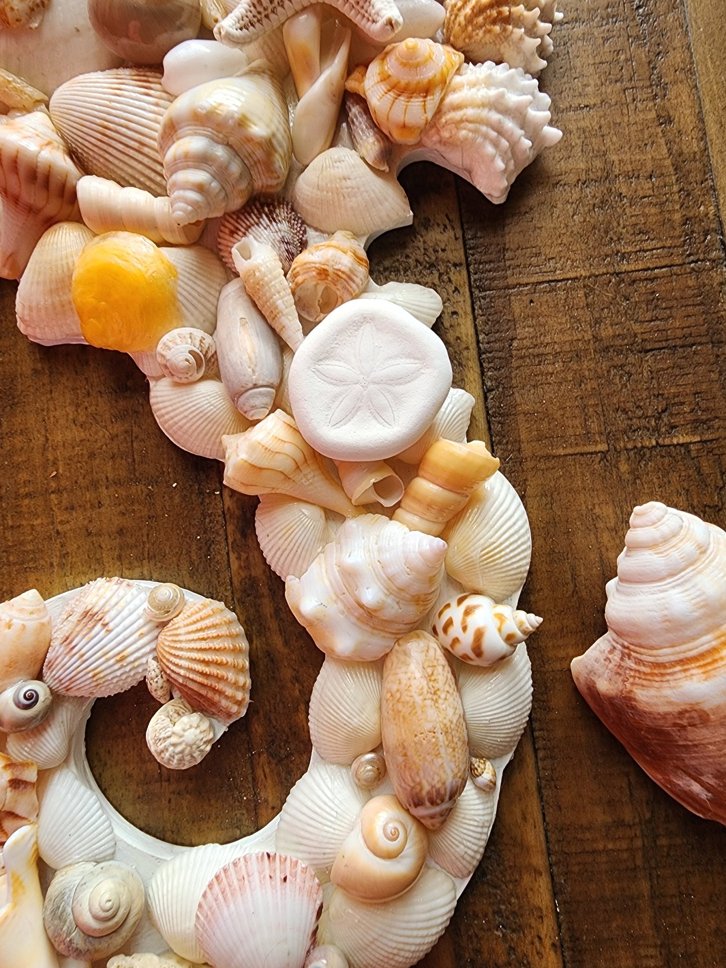 Seashell seahorse wall art, 18" x 9" coastal wall hanging, seahorse beach decor, natural seashell art, beach house decor, housewarming gift.