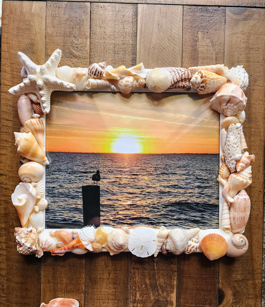 Seashell photo frame, 8"x10" coastal picture frame, beach house decor, beach wedding gift, housewarming gift, seashell art, tropical frame