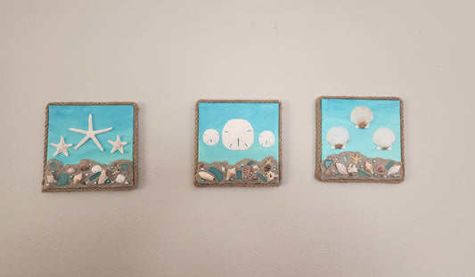 Hand painted 8x8 beach canvas made with genuine local sand and shells with beautiful starfish, sand dollars and scallops, jute rope border.