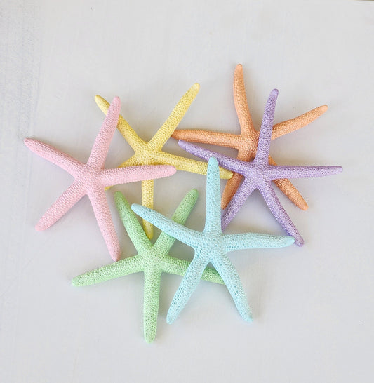Set of 6 Hand painted pencil starfish in pastel colors perfect for your Easter or spring decor. These starfish are 3-4 inches wide.
