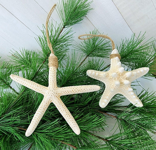 Starfish beach ornament for the holidays or beach wedding.  Approx 4-5 in pencil or 3-4 in knobby starfish hanging from natural jute twine.